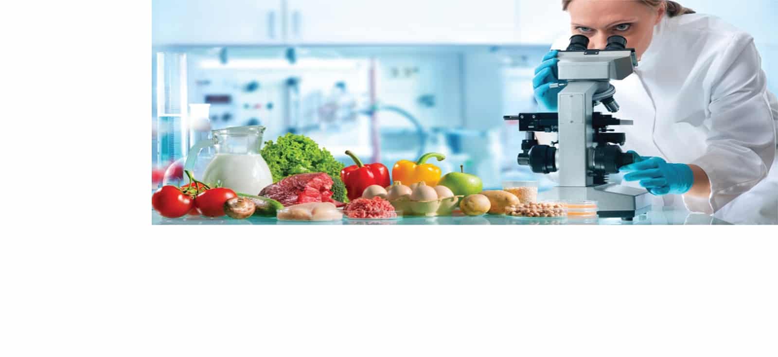 HACCP Certification